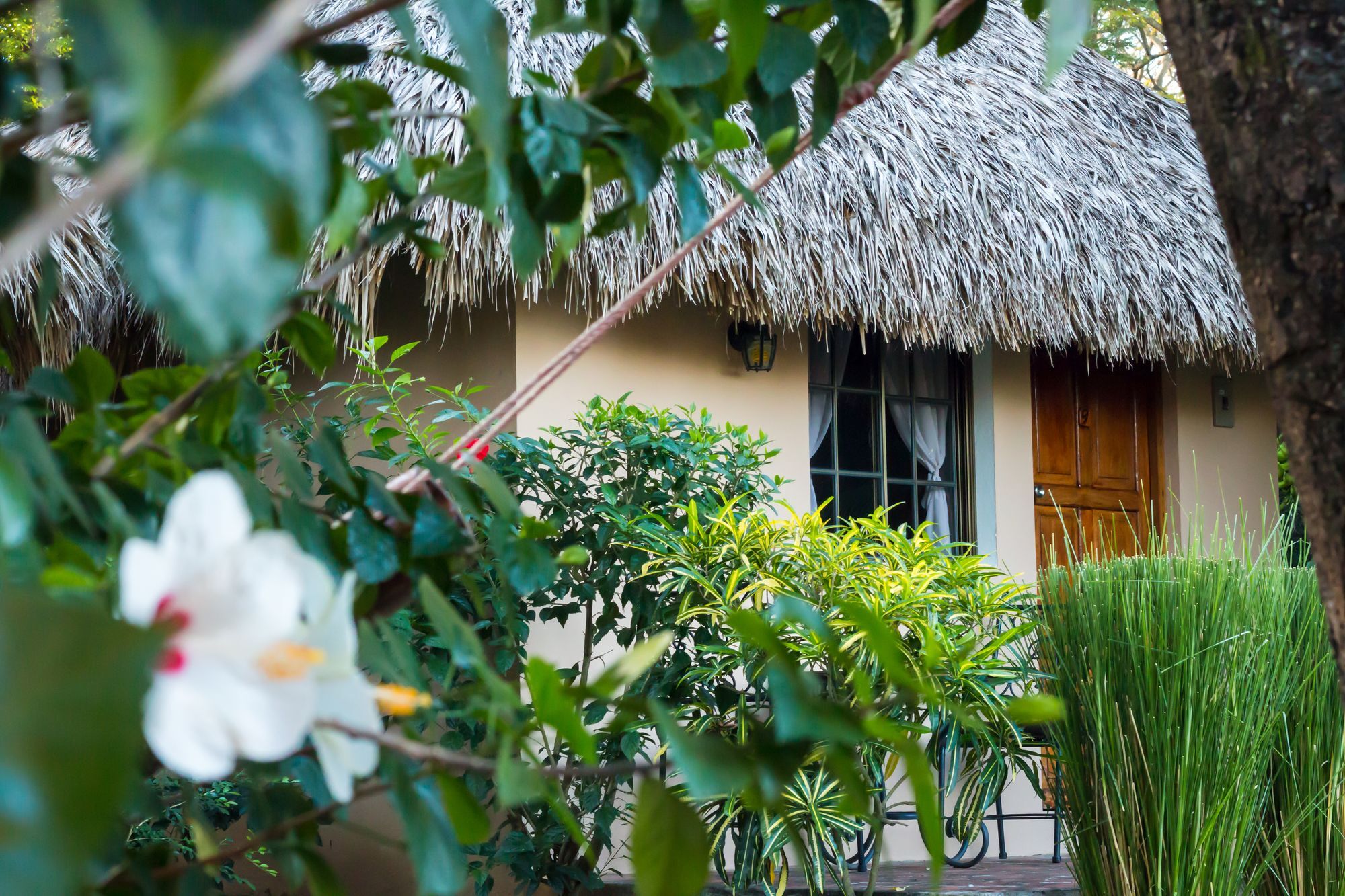 Hotel Mariposa León Exteriér fotografie
